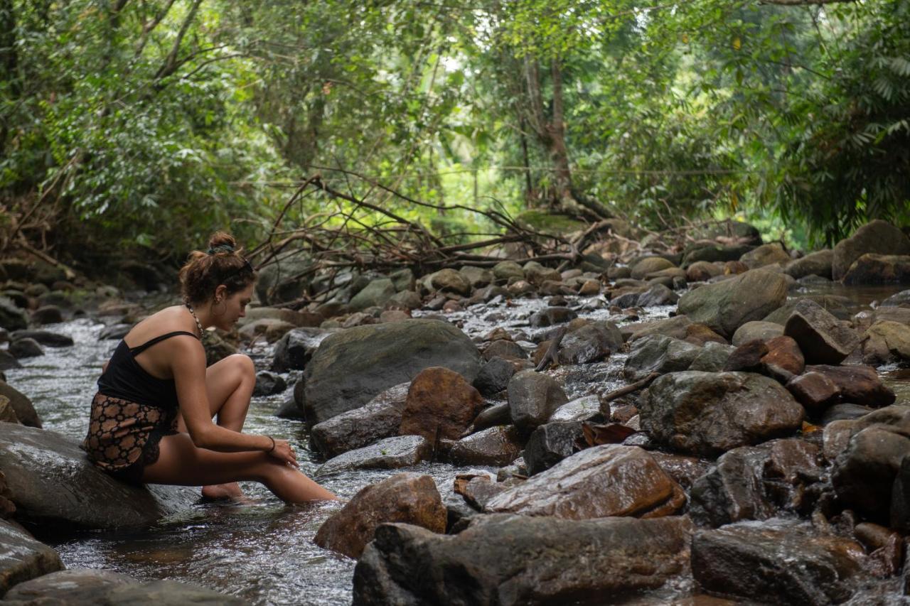 Gileemale Walawwa & Estate Hotel Ratnapura Eksteriør billede